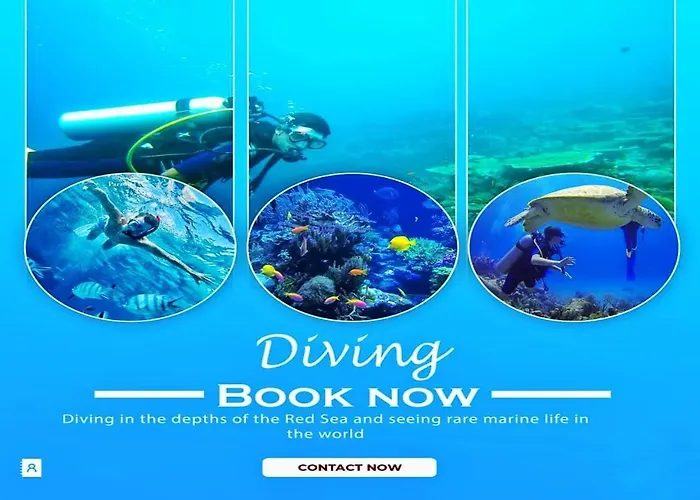 Davinci Otel Hurgada